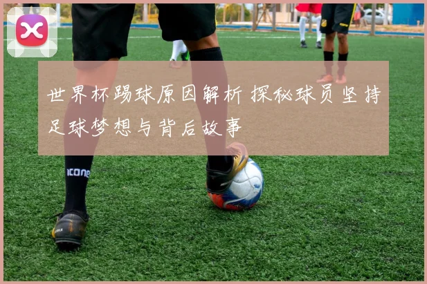 世界杯踢球原因解析 探秘球员坚持足球梦想与背后故事