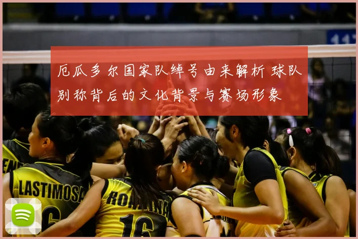 厄瓜多尔国家队绰号由来解析 球队别称背后的文化背景与赛场形象