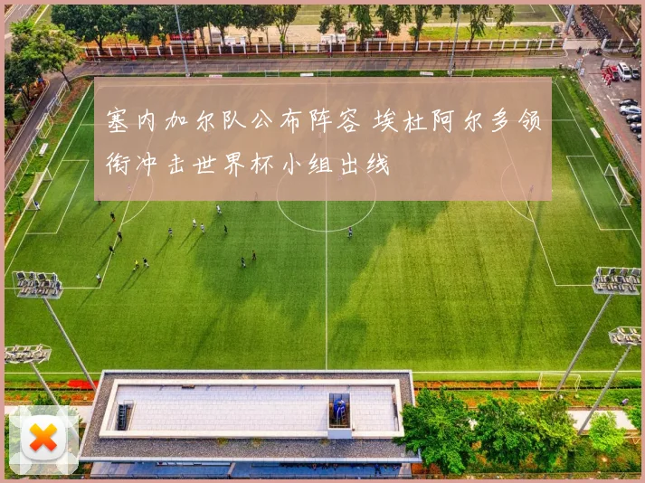 塞内加尔队公布阵容 埃杜阿尔多领衔冲击世界杯小组出线