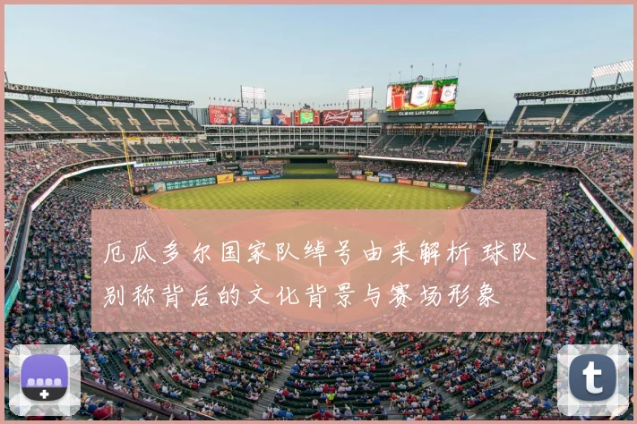 厄瓜多尔国家队绰号由来解析 球队别称背后的文化背景与赛场形象