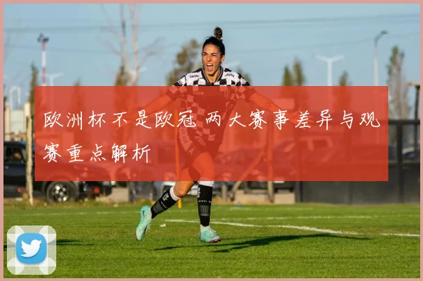 欧洲杯不是欧冠 两大赛事差异与观赛重点解析
