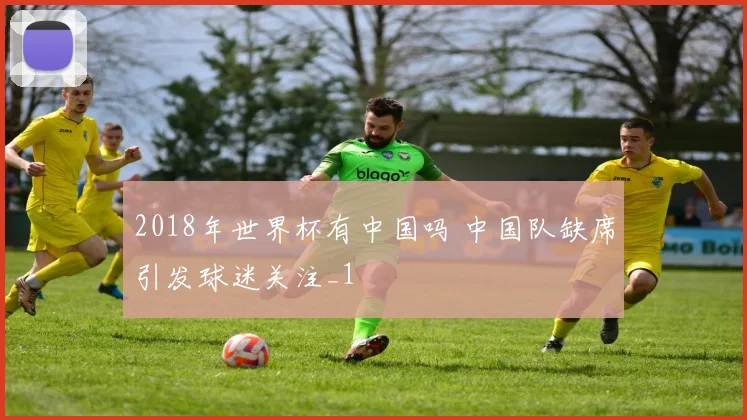 2018年世界杯有中国吗 中国队缺席引发球迷关注_1