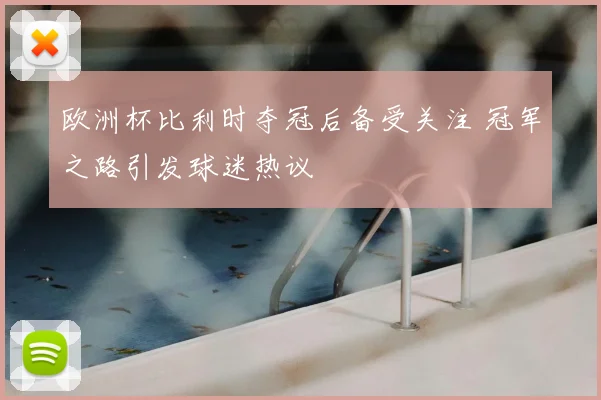 欧洲杯比利时夺冠后备受关注 冠军之路引发球迷热议