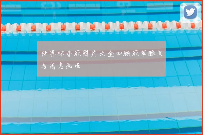 世界杯夺冠图片大全回顾冠军瞬间与高光画面